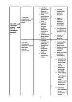 Diplomdarbs 'SIA "O" stratēģiskā analīze', 8.