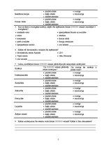 Diplomdarbs 'SIA "O" stratēģiskā analīze', 57.