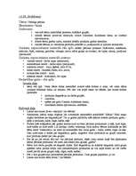 Prakses atskaite 'Pirmsskolas izglītības skolotāja kvalifikācijas prakse', 11.