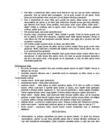 Prakses atskaite 'Pirmsskolas izglītības skolotāja kvalifikācijas prakse', 19.