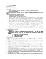 Prakses atskaite 'Pirmsskolas izglītības skolotāja kvalifikācijas prakse', 22.