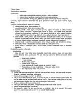 Prakses atskaite 'Pirmsskolas izglītības skolotāja kvalifikācijas prakse', 26.