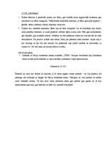 Prakses atskaite 'Pirmsskolas izglītības skolotāja kvalifikācijas prakse', 33.