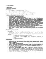 Prakses atskaite 'Pirmsskolas izglītības skolotāja kvalifikācijas prakse', 34.