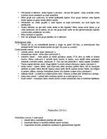 Prakses atskaite 'Pirmsskolas izglītības skolotāja kvalifikācijas prakse', 35.