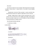 Referāts 'Ēdināšanas uzņēmuma siltuma iekārtas', 8.