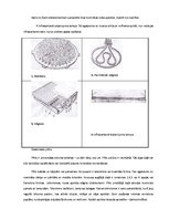 Referāts 'Ēdināšanas uzņēmuma siltuma iekārtas', 12.