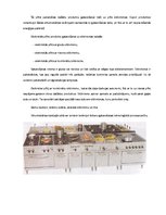 Referāts 'Ēdināšanas uzņēmuma siltuma iekārtas', 18.