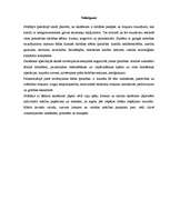 Referāts 'Runas attīstīšana latviešu valodas stundās sākumskolas klasēs skolā bērniem ar g', 8.