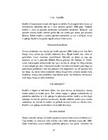 Referāts 'Ķīmisko zāļu aizstāšana ar dabīgajiem līdzekļiem', 21.