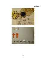 Referāts 'Ķīmisko zāļu aizstāšana ar dabīgajiem līdzekļiem', 29.