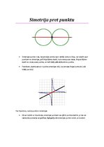 Konspekts 'Simetrija dzīvē', 4.