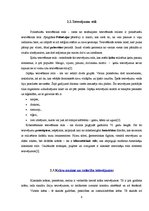 Referāts 'Tetovējumu popularitāte jauniešu vidū', 9.