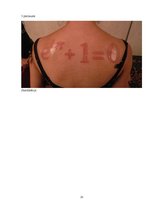 Referāts 'Tetovējumu popularitāte jauniešu vidū', 23.