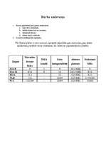 Referāts 'Datora paplašinājumu karšu pielietojums un nozīme', 2.