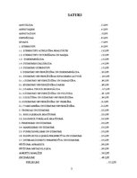 Diplomdarbs 'Dzimumu stereotipi kā dzimumu nevienlīdzības veicinātāji', 2.