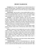 Diplomdarbs 'Dzimumu stereotipi kā dzimumu nevienlīdzības veicinātāji', 6.