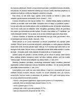 Diplomdarbs 'Dzimumu stereotipi kā dzimumu nevienlīdzības veicinātāji', 25.