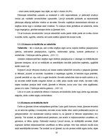 Diplomdarbs 'Dzimumu stereotipi kā dzimumu nevienlīdzības veicinātāji', 26.