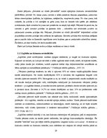 Diplomdarbs 'Dzimumu stereotipi kā dzimumu nevienlīdzības veicinātāji', 29.