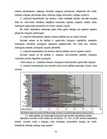 Diplomdarbs 'Dzimumu stereotipi kā dzimumu nevienlīdzības veicinātāji', 43.
