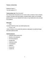 Referāts 'Viesnīca "Ilona"', 4.