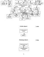 Referāts 'Viesnīca "Ilona"', 10.