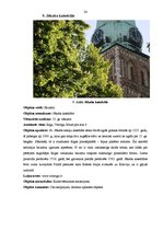 Prakses atskaite 'Ekskursiju vadīšanas metodika', 24.