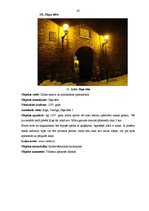 Prakses atskaite 'Ekskursiju vadīšanas metodika', 43.