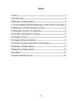 Referāts 'Dinaburgas cietoksnis: pagātne, tagadne, nākotne', 2.