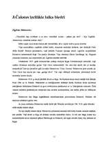 Referāts 'J.Čakste un Eiropas demokrātija', 11.