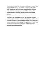 Referāts 'Masāža', 3.