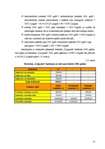 Referāts 'Viesnīcas "Baltais sapnis" finanšu rādītāju analīze', 23.