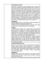 Konspekts 'Tradicionālo programmatūras izstrādes dzīves cikla modeļu analīze', 3.