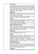 Konspekts 'Tradicionālo programmatūras izstrādes dzīves cikla modeļu analīze', 6.