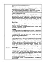 Konspekts 'Tradicionālo programmatūras izstrādes dzīves cikla modeļu analīze', 10.