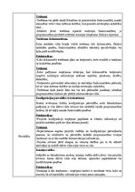 Konspekts 'Tradicionālo programmatūras izstrādes dzīves cikla modeļu analīze', 11.