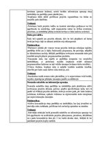 Konspekts 'Tradicionālo programmatūras izstrādes dzīves cikla modeļu analīze', 13.