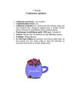 Biznesa plāns 'IK "Uz veselību"', 3.