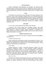 Konspekts 'Спортивный стиль одежды', 2.