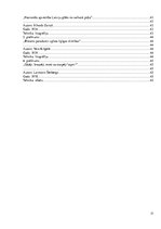 Referāts 'Plakāta vēsture, tā veidošanas paņēmieni', 17.