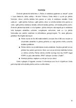 Referāts 'Plakāta vēsture, tā veidošanas paņēmieni', 19.