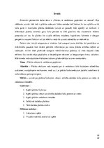 Referāts 'Plakāta vēsture, tā veidošanas paņēmieni', 20.