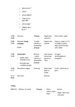 Konspekts 'Nometņu mācība - nometnes plāns', 8.