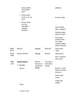 Konspekts 'Nometņu mācība - nometnes plāns', 11.