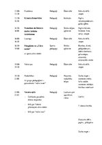 Konspekts 'Nometņu mācība - nometnes plāns', 12.