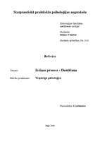 Referāts 'Izziņas process - domāšana', 1.