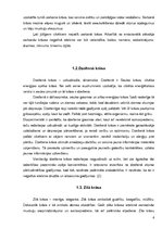 Referāts 'Krāsu ietekme uz cilvēkiem agrīnajā jauniešu periodā', 6.