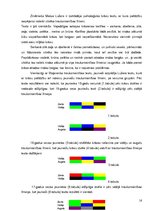 Referāts 'Krāsu ietekme uz cilvēkiem agrīnajā jauniešu periodā', 16.