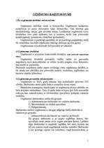 Referāts 'Personāla plānošana un organizēšana', 2.